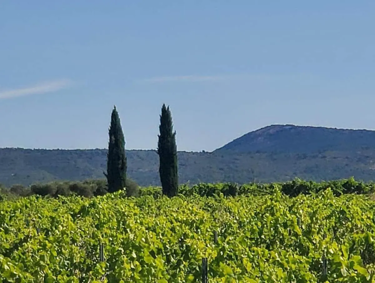 Maison De Maitre Dans Les Vignes Trets 0*,  France