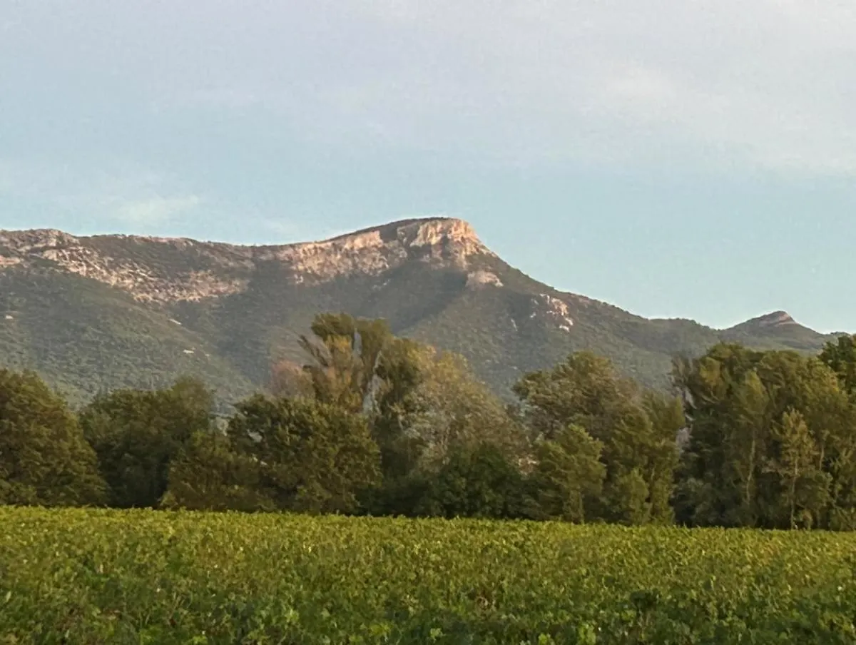 Villa Maison De Maitre Dans Les Vignes Trets