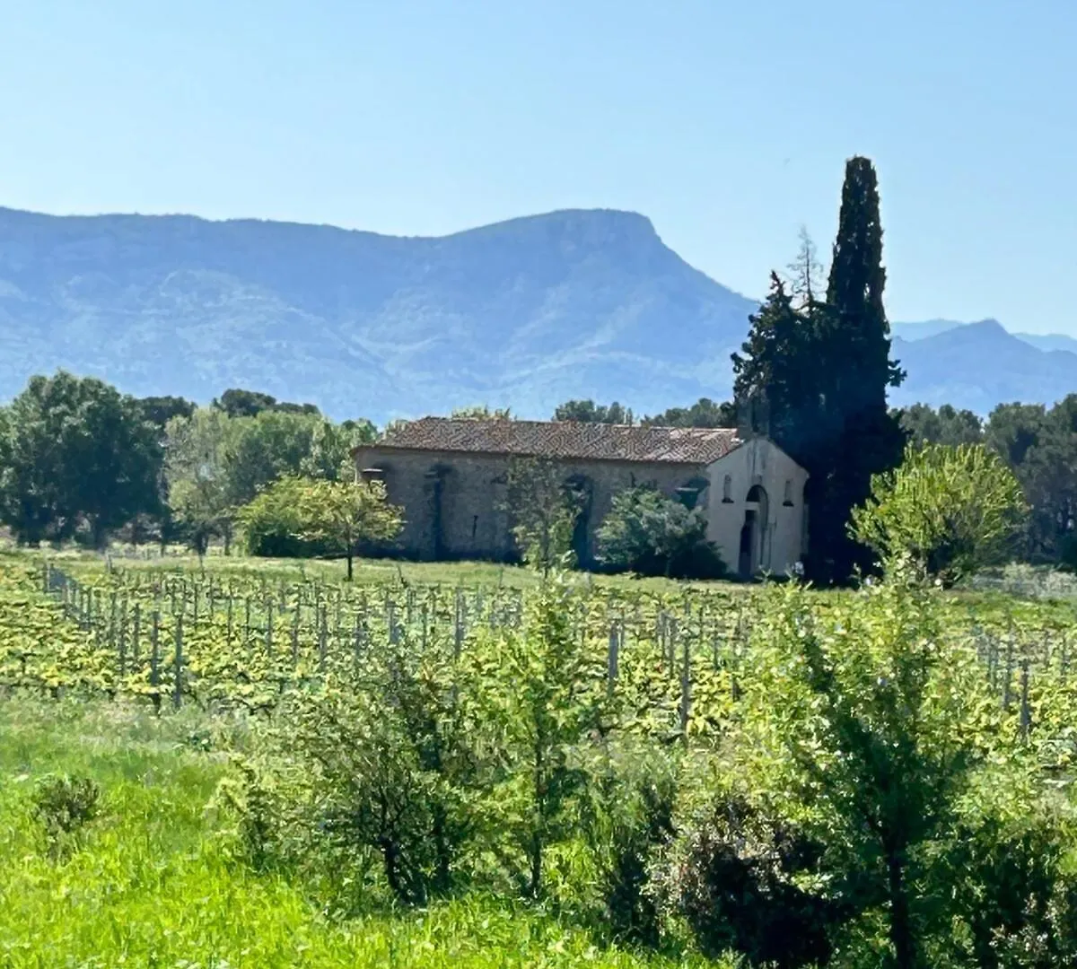 Maison De Maitre Dans Les Vignes Trets