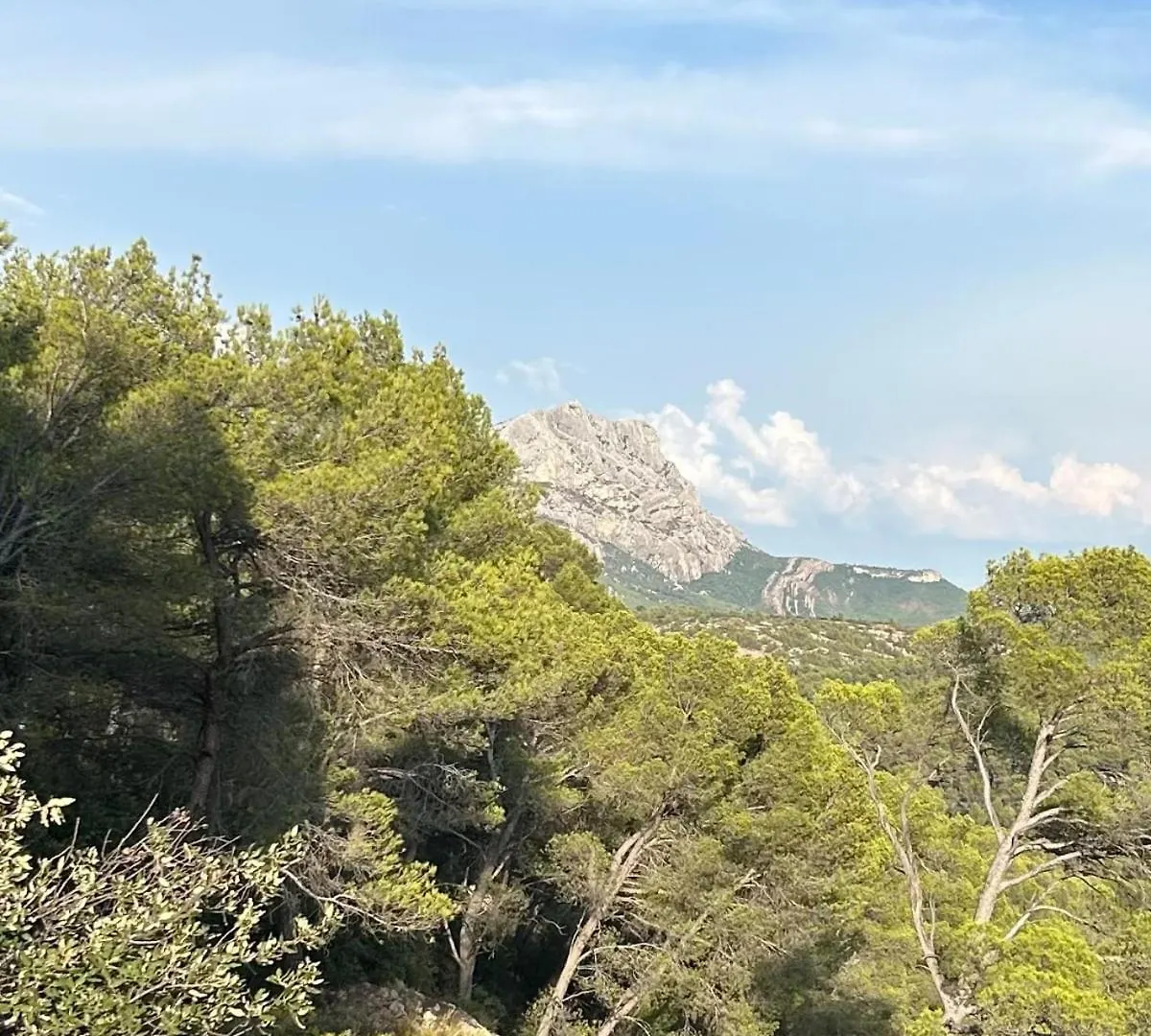 Maison De Maitre Dans Les Vignes Trets France