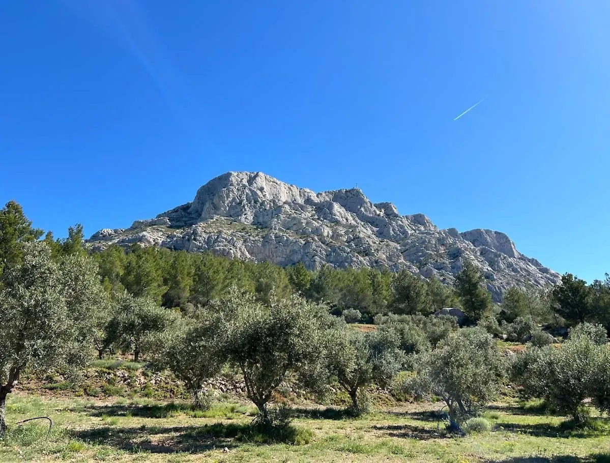 Villa Maison De Maitre Dans Les Vignes Trets